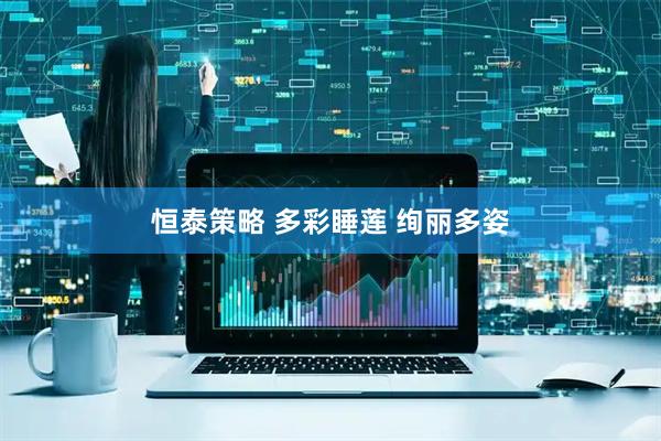 恒泰策略 多彩睡莲 绚丽多姿