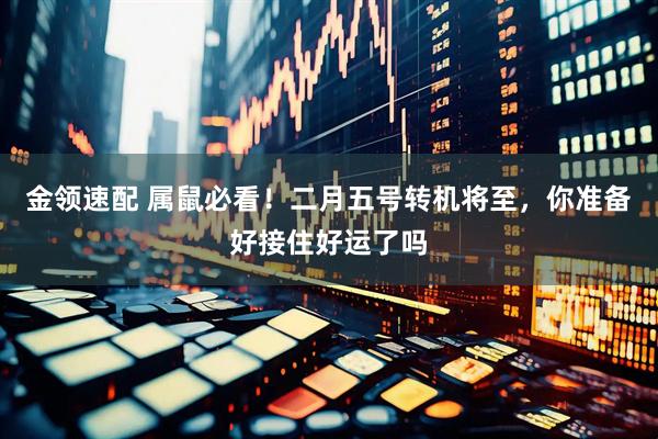 金领速配 属鼠必看！二月五号转机将至，你准备好接住好运了吗